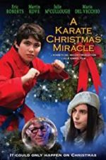 Watch A Karate Christmas Miracle Gomovies