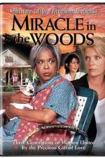 Watch Miracle in the Woods Gomovies