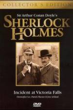 Watch Incident at Victoria Falls Gomovies