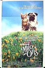 Watch Milo and Otis Gomovies