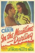Watch In the Meantime Darling Gomovies