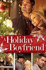 Watch A Holiday Boyfriend Gomovies