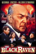 Watch The Black Raven Gomovies