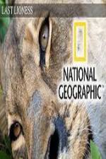 Watch The Last Lioness Gomovies