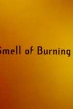 Watch The Smell of Burning Ants Gomovies