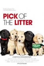 Watch Pick of the Litter Gomovies