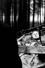 Watch Koc�r do V�dne Gomovies