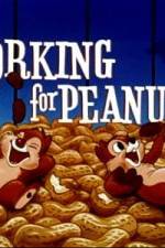 Watch Working For Peanuts Gomovies