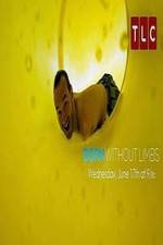 Watch Born Without Limbs Gomovies