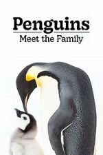 Watch Penguins: Meet the Family Gomovies