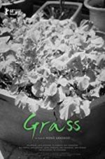 Watch Grass Gomovies