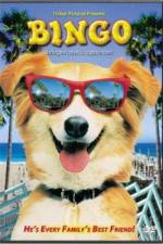 Watch Bingo Gomovies