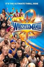 Watch WWE WrestleMania 33 Gomovies