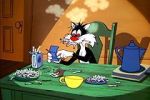 Watch The Last Hungry Cat Gomovies