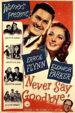 Watch Never Say Goodbye Gomovies