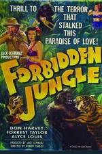 Watch Forbidden Jungle Gomovies