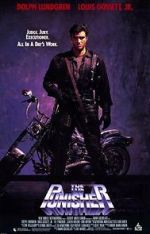 Watch The Punisher Gomovies