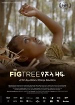 Watch Fig Tree Gomovies