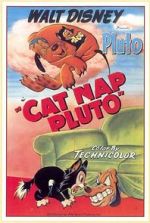 Watch Cat Nap Pluto Gomovies
