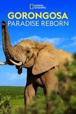 Watch Gorongosa: Paradise Reborn (Short 2022) Gomovies