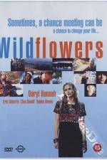 Watch Wildflowers Gomovies