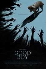 Watch Good Boy Gomovies