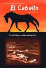 Watch El Caballo: The Wild Horses of North America Gomovies