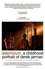 Watch Delphinium: A Childhood Portrait of Derek Jarman Gomovies