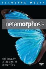 Watch Metamorphosis: The Beauty and Design of Butterflies Gomovies
