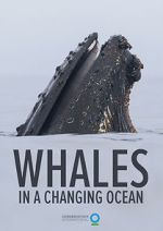 Watch Whales in a Changing Ocean (Short 2021) Gomovies