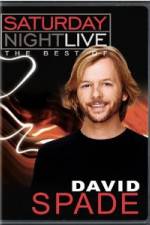Watch Saturday Night Live The Best of David Spade Gomovies