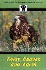 Watch Twixt Heaven and Earth Gomovies