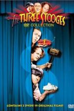 Watch The Ghost Talks Gomovies