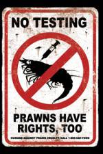 Watch Wikus and Charlize Gomovies