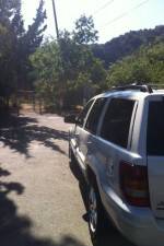 Watch Nefarious Nellie Gomovies