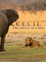 Watch Cecil: The Legacy of a King Gomovies