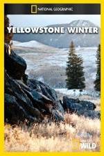 Watch National Geographic Yellowstone Winter Gomovies