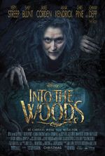 Watch Into the Woods Gomovies