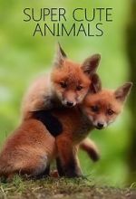 Watch Super Cute Animals Gomovies