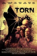 Watch Torn Gomovies