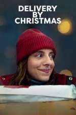 Watch Delivery by Christmas Gomovies