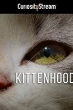 Watch Kittenhood Gomovies