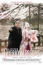 Watch Cherry Blossoms Gomovies