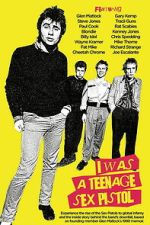 Watch I Was a Teenage Sex Pistol Gomovies