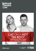 Watch Cat on a Hot Tin Roof Gomovies
