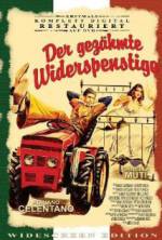 Watch The Taming of the Scoundrel Gomovies