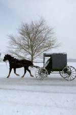 Watch Leaving Amish Paradise Gomovies