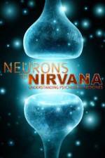 Watch Neurons to Nirvana Gomovies
