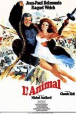 Watch Animal Gomovies