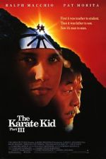 Watch The Karate Kid Part III Gomovies